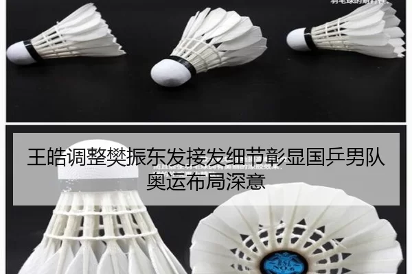 王皓调整樊振东发接发细节彰显国乒男队奥运布局深意